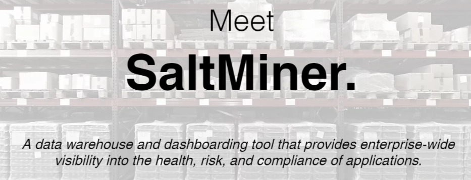 Saltworks SaltMiner: A New Solution for AppSec Management