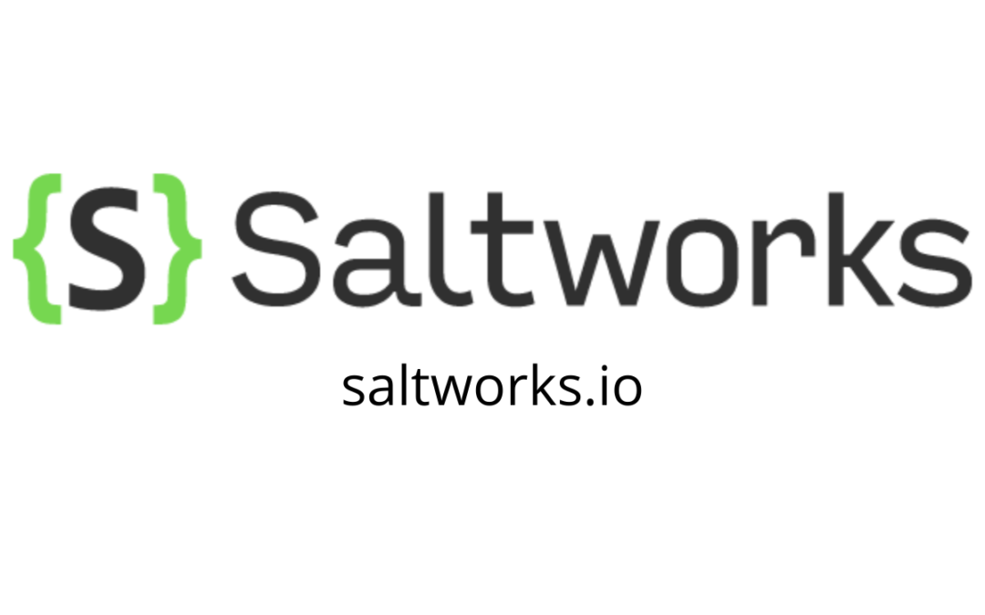 PRESS RELEASE: Saltworks, Bit Discovery Partner to Advance Attack Surface Management